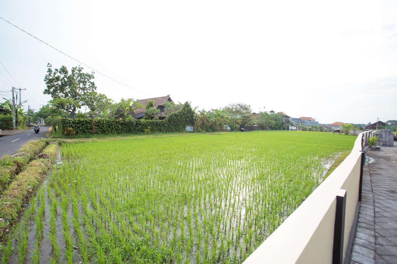V Canggu Dormitory 외부 사진